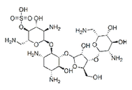 Framycetin Sulphate 4146-30-9