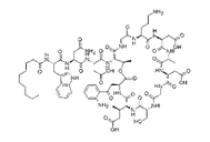 Daptomycin 103060-53-3