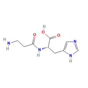 L-Carnosina estructura molecular CAS 305-84-0