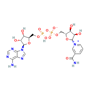 NAD+ (Nicotinamide Adenine Dinucleotide) molecular structure CAS 53-84-9