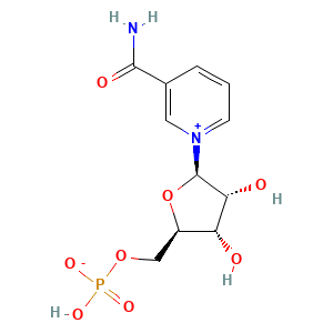 NMN molecular structure, CAS 1094-61-7